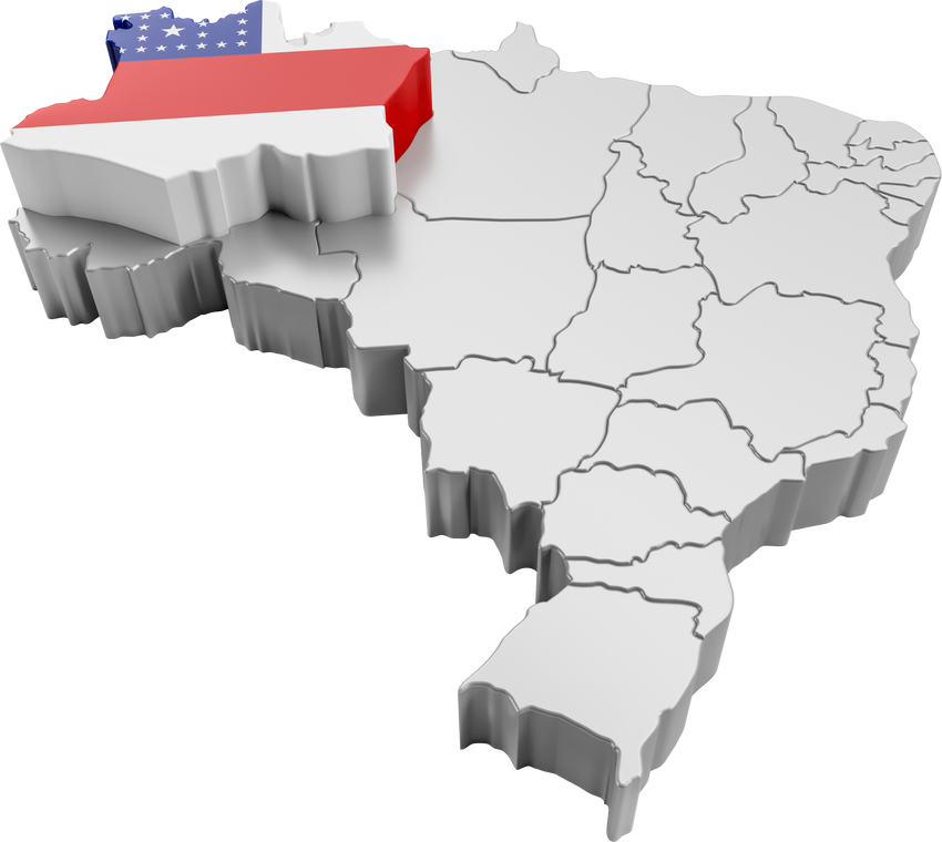Brazil map with Amazonas state flag in 3d render